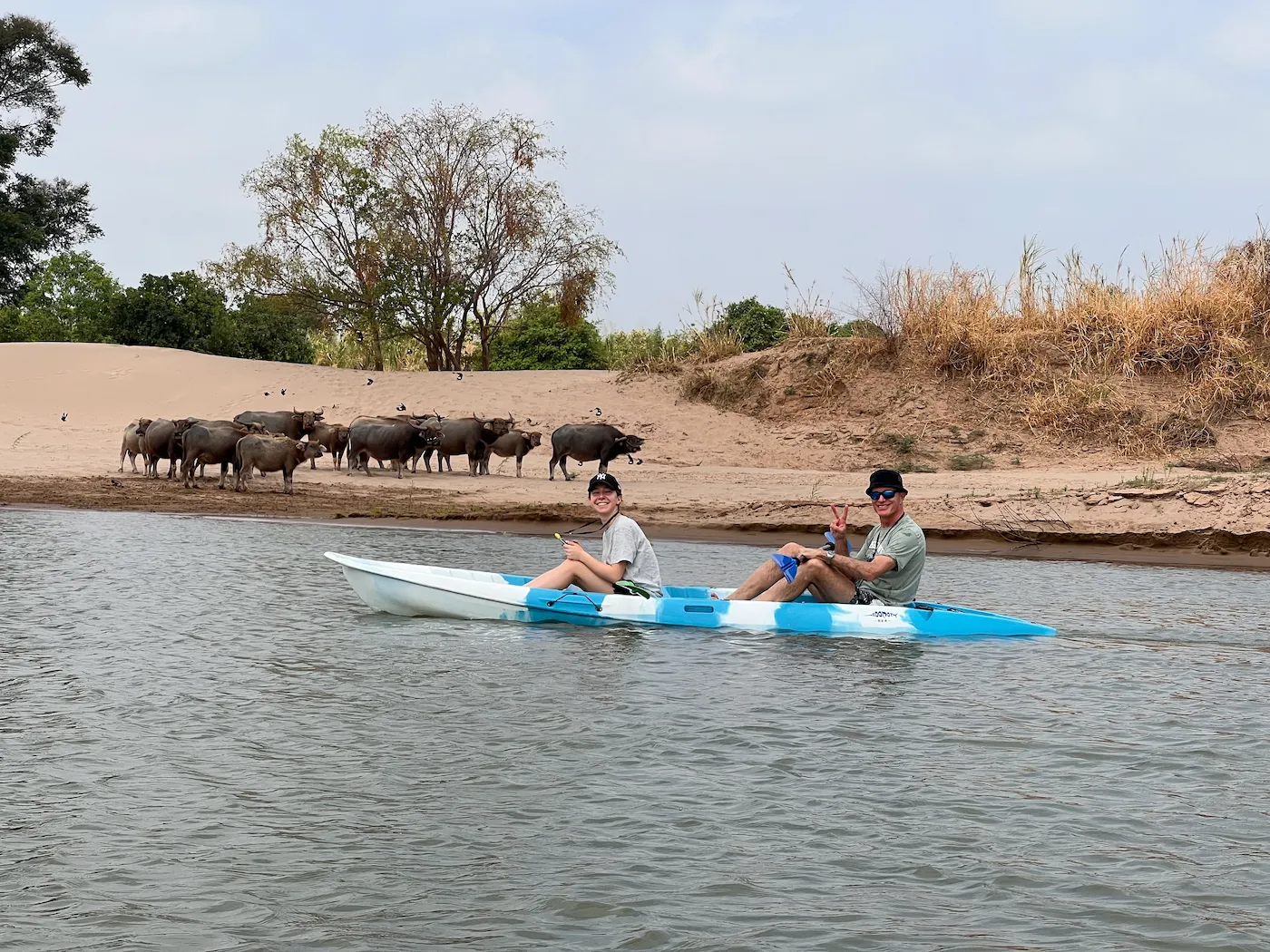 Kayaking and Boat Cruise